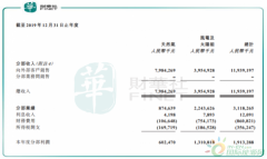 2020年需负重前行 新天绿色能源头顶近200亿长期借款_正大期货