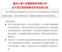 金康新能源获重庆政府投资20亿元，中高端产物使用“东风赛力斯”品牌_正大期