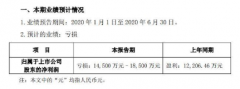 台海核电2020年上半年预计亏损1.45亿元至1.85亿元 执行订单较上年同期削减_正大