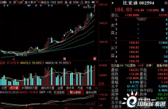 里程碑！比亚迪市值突破5000亿元！_正大期货