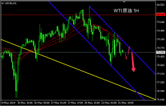 主次节奏：原油日内向下，通道上沿阻力较强-国际期货